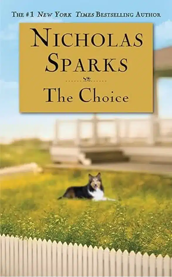 books like pride and prejudice - nicholas sparks - the choice